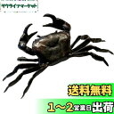 mamota 文鎮 蟹 置物 カニ 風水 伝統工芸 金運 茶道具 真鍮 置物 民芸品 繊細 細密 彫刻 車内 招福 商売繁盛 筆置き インテリア