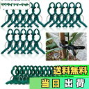 【送料無料】園芸クリップ 支柱クリップ 誘引クリップ 植物クリップ 植物 固定 クリップ 園芸用支柱クリップ 繰り返し使える 農業用 結束バンド 植物サポート 接木トマトナス/果菜栽培 茎 耐候性 育成 (大15個/小15個)