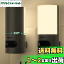 Lyridz センサーライト 室内 300°回転可 足元灯 人感センサーライト コンセント 超高輝度150ルーメン 明るさ調節・点灯時間設定可能 フットライト ...