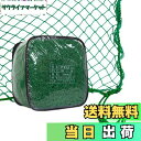 【送料無料】Gulfmore PP養生ネット 防風ネット 5x5m バードネット 多目的 園芸ネット 防鳥・防獣ネット 万能グリーンネット 果樹守りネット 鳥から田畑や果樹を守る アニマルネット
