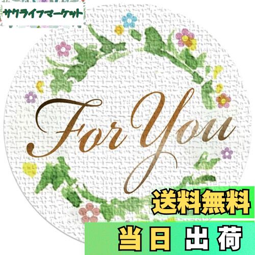 ̵ۥեȥ ꡼ ľ3.2cm 505ȡ 