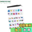 【送料無料】YFFSFDC カラーラインストーン ネイルアートパーツ ドライフラワー ネイル押し花 アクリルラインストーン 大容量 ネイル デコ用 DIY 服装...