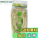 【送料無料】近与(KONYO) ガーデンフレンズ ラフィア(天然繊維) 白 20g