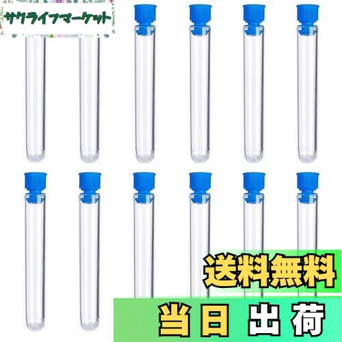 ̵BIUTEFOR  ץ饹å 12ܥå դ  ץ饹å  ߥ Ʃ ƴ ¸å ץ¸ ¸ DIY...