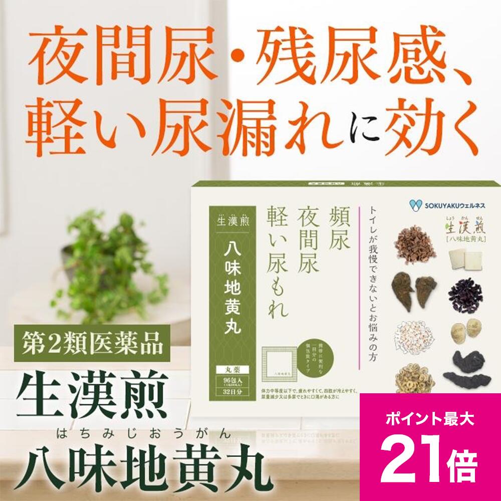 ＼9/18限定ポイント最大21倍／《シリーズ累計2億包突破》【第2類医薬品】生漢