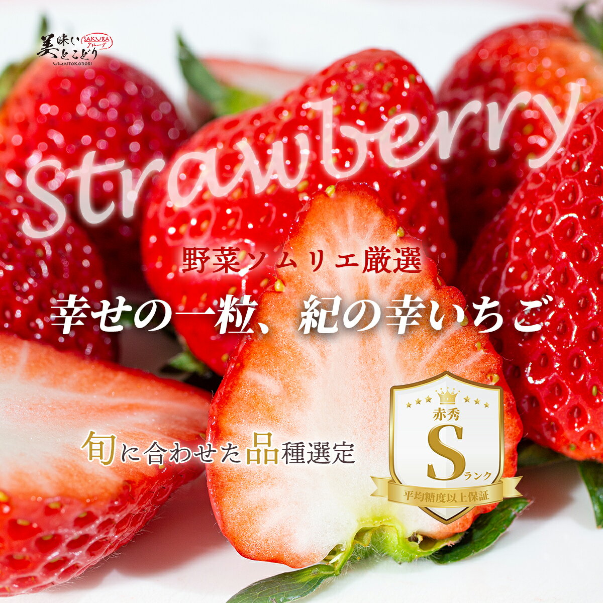 [����̵��][�Ƕ�����][������] ��̣���Ȥ��ɤ� ���������� 16γ �²λ����� ���ι� ���եȥܥå��� ��� ������ ����S ����ڥ���ꥨ�ƽ�