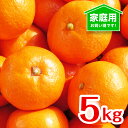 [送料無料][あす楽]和歌山 (5kg) みかん 家庭用 訳あり 完熟 産地直送 甘い フルーツマイスターが選別