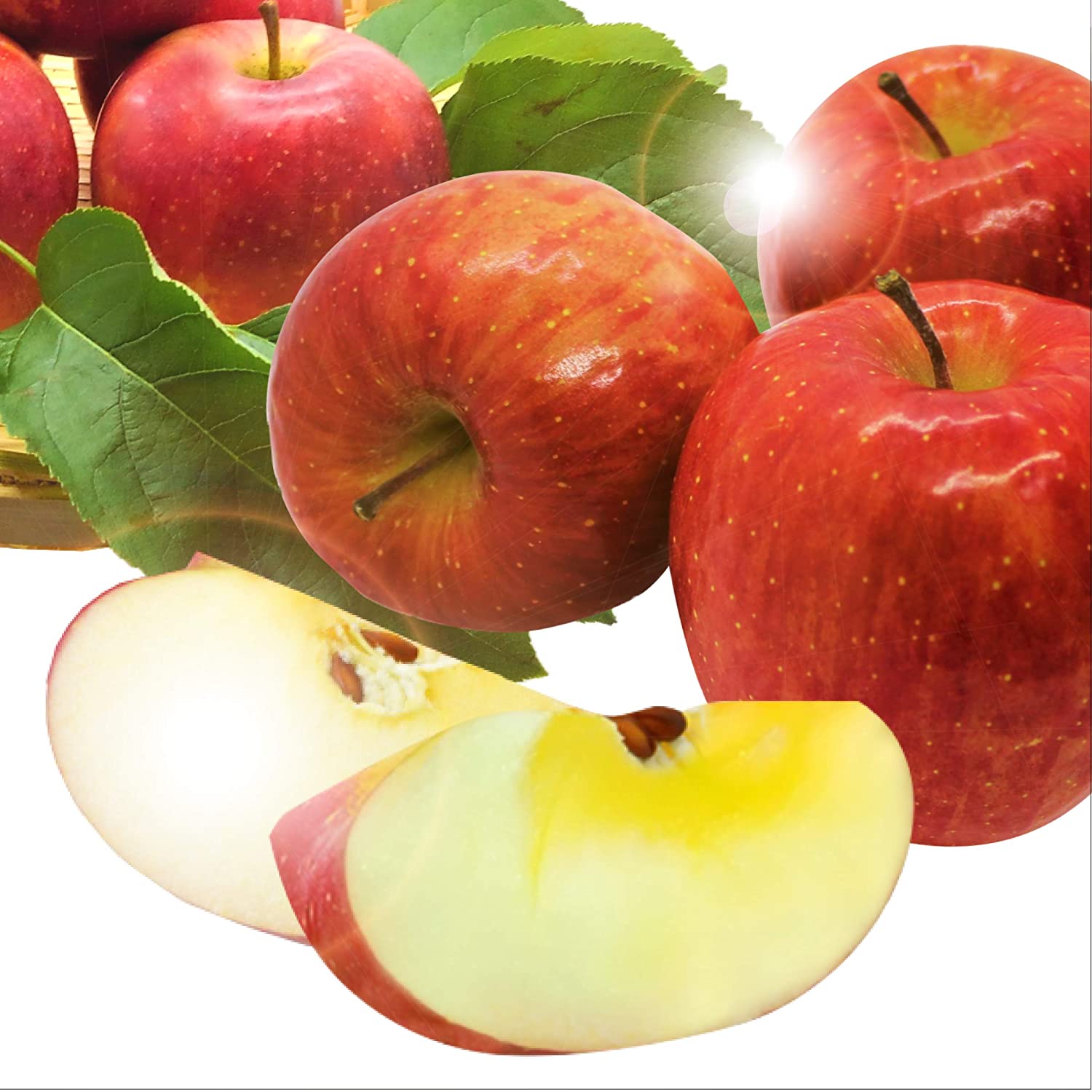 りんご [送料無料][あす楽] 美味いとこどり サンフジりんご 約10kg 青森県産 赤秀 完熟 高級 ※フルーツマイスターが選別