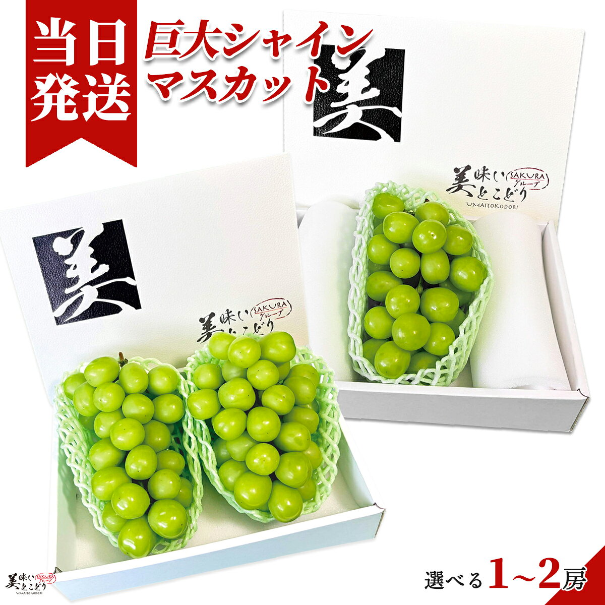 [送料無料][最強配送][あす楽] 美味いとこどり 巨大 シャインマスカット 1房 約550...