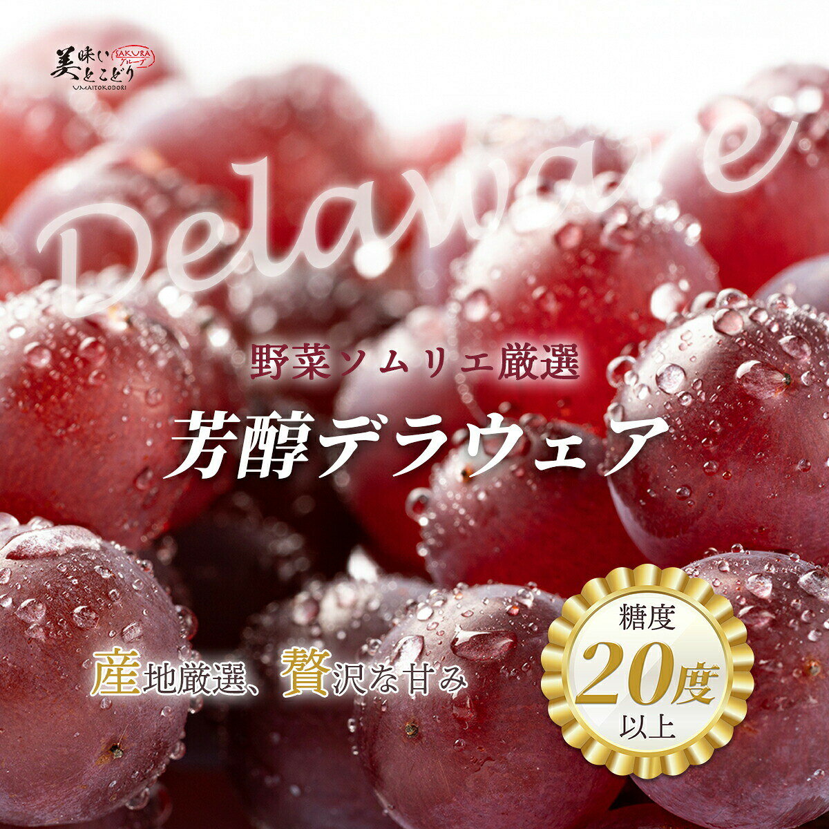[送料無料][最強配送][あす楽] 美味いとこどり デラウェア 選べる内容量 高糖度平均20度 地域厳選 高糖度 ※ 野菜ソムリエ厳選 ※ 産地は旬な時期に合わせてフルーツソムリエが選定いたします。 sakura-0405-10000509 SAKURAグループ サンプル画像2