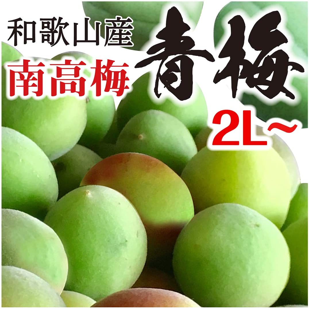 [送料無料][あす楽] 美味いとこどり 青梅 南高梅 1.8kg 和歌山県産 サイズ 2L~4L 冷蔵便 ※フルーツマイスター監修 ※のサムネイル
