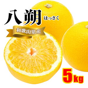 [送料無料][あす楽]美味いとこどり 和歌山県産 八朔 ( 5kg ) はっさく 和歌山県産 ご家庭用 和歌山県産 産地直送 訳あり フルーツマイスターが選別