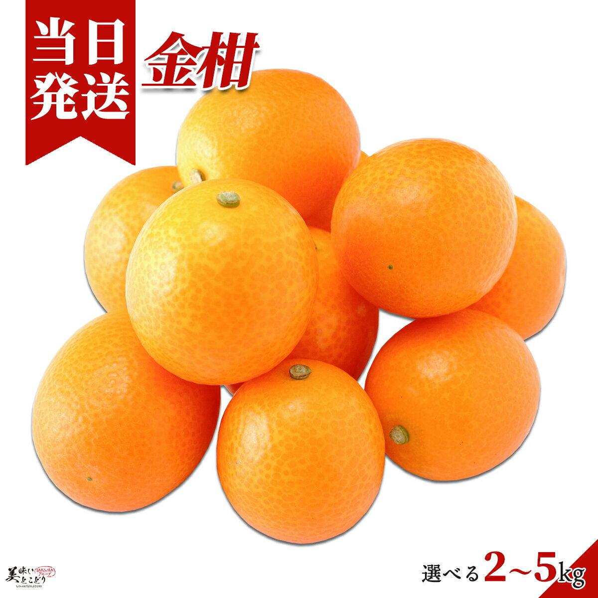 楽天市場】黄金柑 送料無料の通販 楽天市場】黄金柑 送料無料の通販