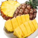 美味いとこどり 金鑽パイン 約1.5kg×2 (約3kg) 台湾産 台農17号 パイナップル 等級A 最高糖度20 ※フルーツソムリエ推奨