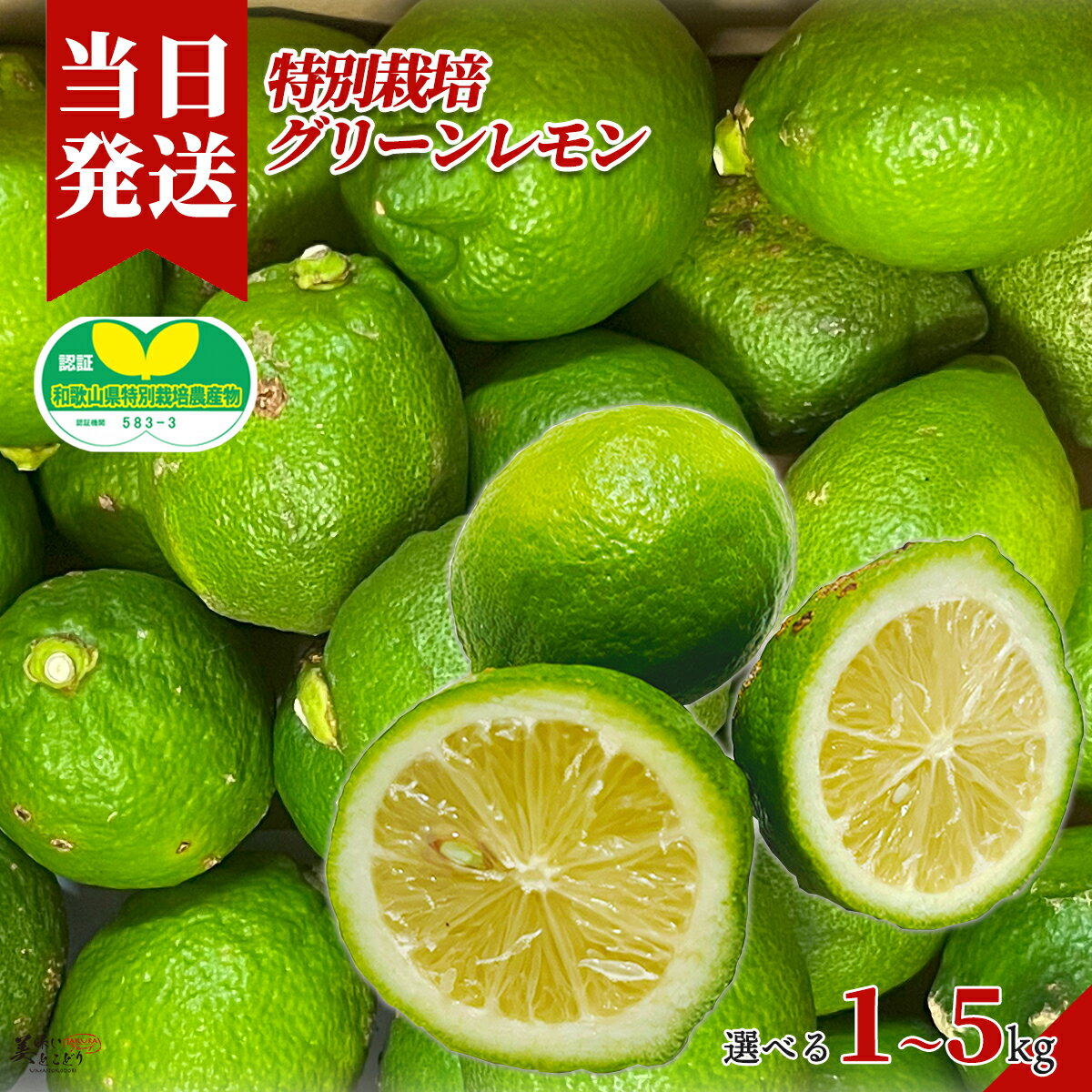 [送料無料][最強配送][あす楽] 美味いとこどり※特別栽培※和歌山県産 皮ごと食べれるレモン 選べる内容..