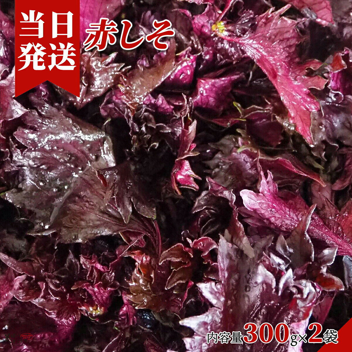 [送料無料][最強配送][あす楽] 美味いとこどり 赤しそ 赤紫蘇 300g×2 野菜ソムリエ監修  ...