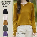 ニット レディース M/L/LL/3L/4L トップス ニットウエア 春 秋 冬 コットンニット セーター クルーネック シンプル ペーシック