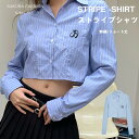シャツ ストライプ 刺繍 レディース トップス 長袖 シャツ ブラウス ストライプシャツ ショート丈 短め レギュラーカラー ワンポイント ストライプ クロップ...