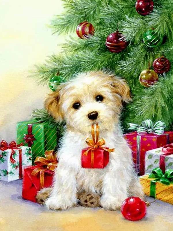 ダイヤモンドアート クリスマス 犬 可愛い トイプードル 四角ビーズ 丸ビーズ ダイアモンドアート ダイヤモンドペインティング ビーズ刺繍キット セット ダイヤモンドフィックス 送料無料のサムネイル