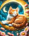 ダイヤモンドアート セット 四角ビーズ 猫 オレンジクレセントムーン 可愛い動物 ABビーズ オーロラビーズ ダイアモンドアート スクエア ダイヤモンドペインテ...