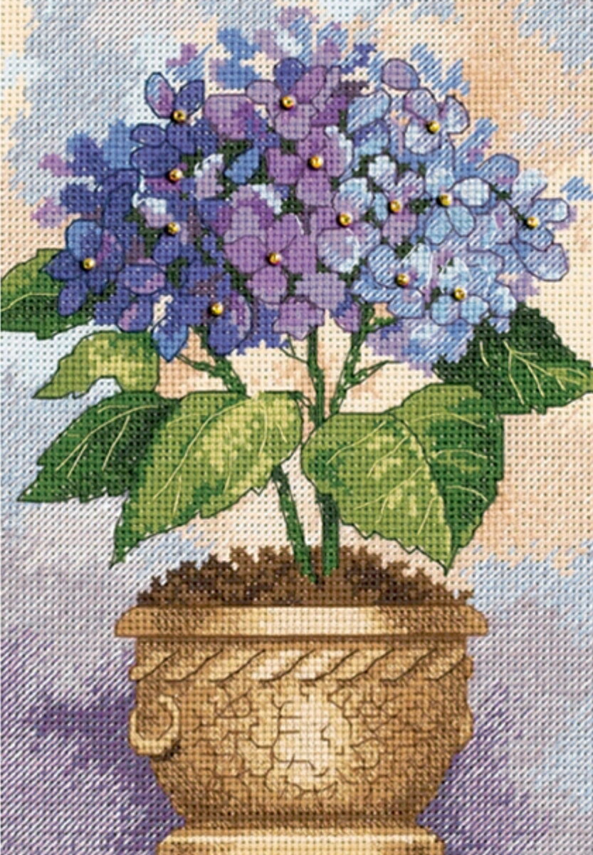 ƥåå  Dimensions ۲  Hydrangea in Bloom ǥ󥷥 ɽå ̵ 鿴  