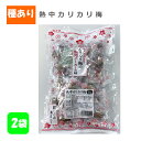 【期間限定P10】 【まとめ買い2袋販売】赤城フーズ カリカリ梅 種あり450g 熱中カリカリ梅 塩分補給 熱中対策