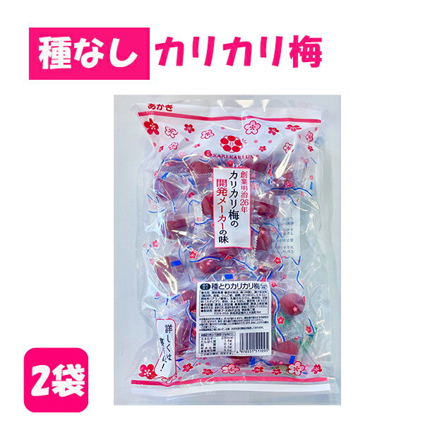 【まとめ買い2袋販売】赤城フーズカリカリ梅　種なし 種とり 熱中カリカリ梅 230g約25粒入 塩分補給 熱中対策 カリカリ梅