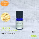 ベンゾインアブソリュート50% 3ml フ