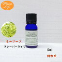 ホーリーフ 10ml フレーバーライフ 