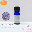 ラベンダーフランス 10ml フレーバー