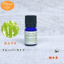 カユプテ3ml フレーバーライフ アロ