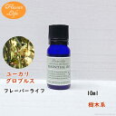 フレーバーライフ 精油 ユーカリグロブルス 10ml 天然精油 美容 コスメ 香水 アロマオイル お香 エッセンシャルオイル アロマディフューザーや アロマポットに さくらさく