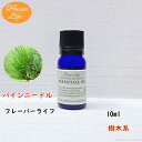 パインニードル 10ml フレーバーライ