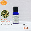 フレーバーライフ 精油 ユーカリラディアータ 10ml 天然精油 美容 コスメ 香水 アロマオイル お香 エッセンシャルオイル アロマディフューザーや アロマポットに さくらさく