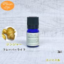 ジンジャー3ml フレーバーライフ ア