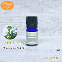 フレーバーライフ 精油 シナモンリーフ3ml 天然精油 美容 コスメ 香水 アロマオイル お香 エッセンシャルオイル アロマディフューザーや アロマポットに さくらさく(4)