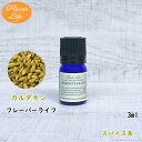 フレーバーライフ 精油 カルダモン3ml 天然精油 美容 コスメ 香水 アロマオイル お香 エッセンシャルオイル アロマディフューザーや アロマポットに さくらさく