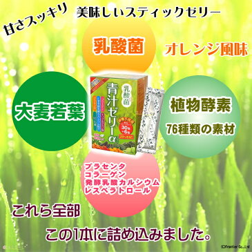 乳酸菌青汁ゼリーα 乳酸菌 プラセンタ コラーゲン 青汁ゼリー 植物酵素 酵素ゼリー 日本製【送料無料】(砂糖不使用カロリーカット)