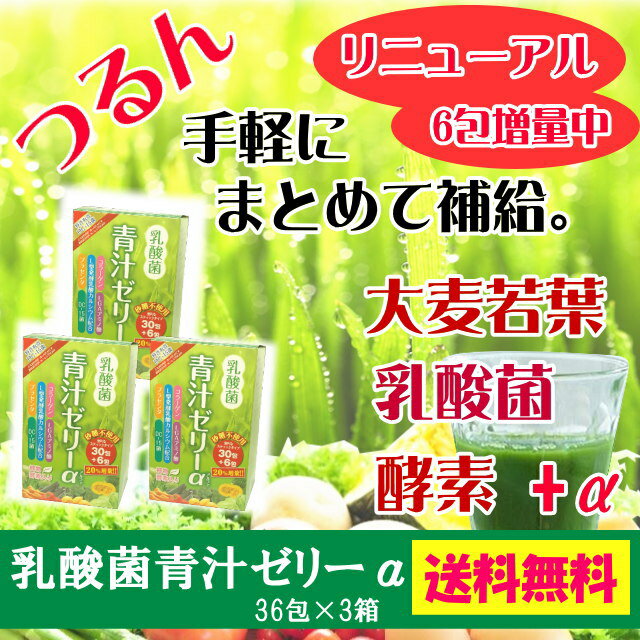 【3個セット】乳酸菌青汁ゼリーα 乳酸菌 プラセンタ コラーゲン 青汁ゼリー 植物酵素 酵素ゼリー 日本製【送料無料】（砂糖不使用カロリーカット）キャッシュレス5%還元