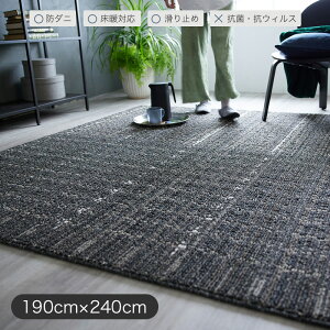 【今だけポイント5倍エントリー中】ラグ 190×240cm グラニテ Granite 日本製 防ダニ加工 ホットカーペット 床暖房対応 滑り止め加工 F☆☆☆☆ モダンなデザイン Lサイズ 約3畳 代引不可