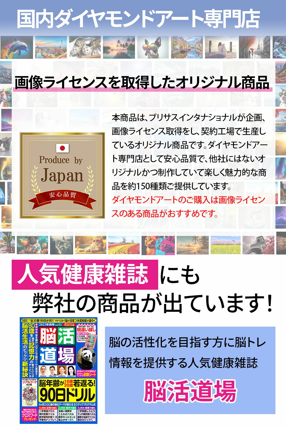 手芸時間 ダイヤモンドアート キット イルカ 豪華付属品 【日本企画 ライセンス取得品】 150種類展開 四角 丸ビーズ ビーズ DIY 手作り 5D 初心者 動物 かわいい 神秘 癒し 30×40cm 人気脳活雑誌掲載 BELSUS正規代理店 送料無料 【契約倉庫直送品】 2