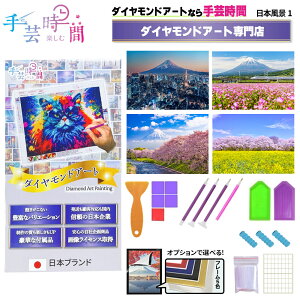 手芸時間 ダイヤモンドアート キット 日本 豪華付属品 【日本企画 ライセンス取得品】 150種類展開 四角 丸ビーズ ビーズ DIY 手作り 5D 初心者 東京 富士山 桜 景色 和 30×40cm 人気脳活雑誌掲載 BELSUS正規代理店 送料無料 【契約倉庫直送品】