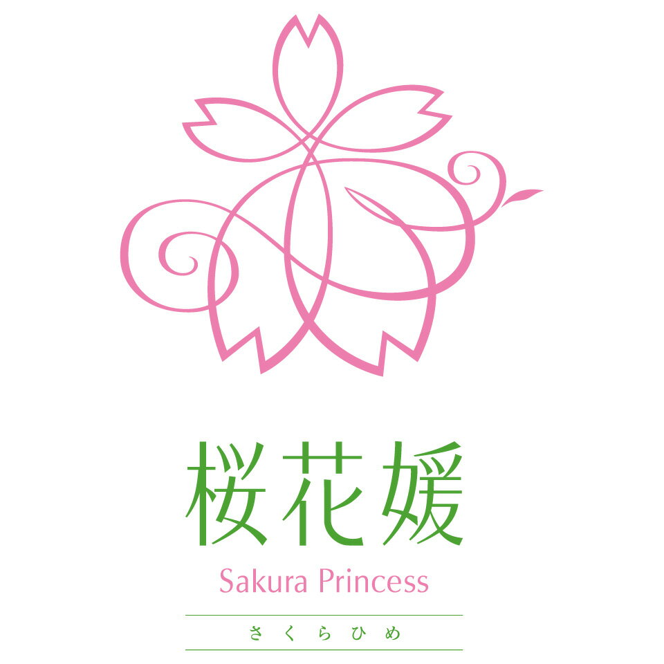 Shop icon