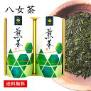 日本茶 お茶 八女茶 ギフト セット 50 / 茶 お茶 煎茶110g×2 送料無料 | 結婚内祝い 出産内祝い 快気祝い 入学内祝い 入学 内祝い お返し お礼の品 母の日 誕生日プレゼント 一周忌 法事 お供え物 お供え 香典返し