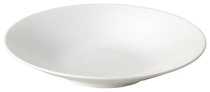 Other - カリタ 白マット 24cm カレー & パスタ皿 深皿 24x4.2cm 艶を抑えた ハーフマット の白菫釉 極限のシンプル 繊細かつ計算された形状の オールラウンド食器シリーズ 日本製 美濃焼
