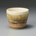 線刻 白釉 325cc ロックカップ 9.5x8.5cm 約325cc 土物ウイスキー 梅酒 焼酎 冷酒 甘酒 和カクテル 日本製
