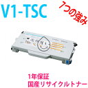 CASIO V1-TSC VA TCNgi[ SPEEDIA V1p TCNi (V1TSC)
