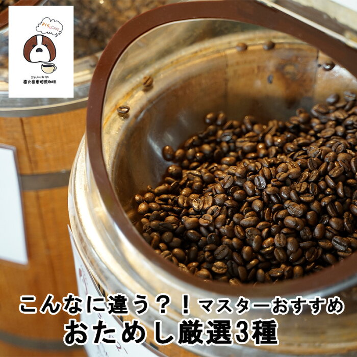 コーヒー豆 お試し 3種 送料無料 珈琲豆 コーヒーマメ 自家 焙煎 直火 300g 粉 豆 珈琲問屋 オリジナル ブレンド ソフト ブレンド キリマンジャロ アイス アイスコーヒー 美味しい コーヒー 母の日