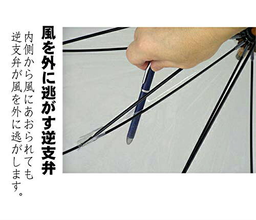 ＼ポイント10倍/【あす楽】White ROS...の紹介画像2