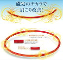 【あす楽】【正規品】 Phiten RAKUWA 磁気チタンネックレスS | 全2色 2サイズ 45cm 55cm | 日本製 ファイテン 3